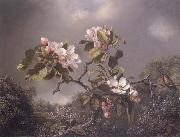 Martin Johnson Heade, Apple Blosoms and Hummingbird